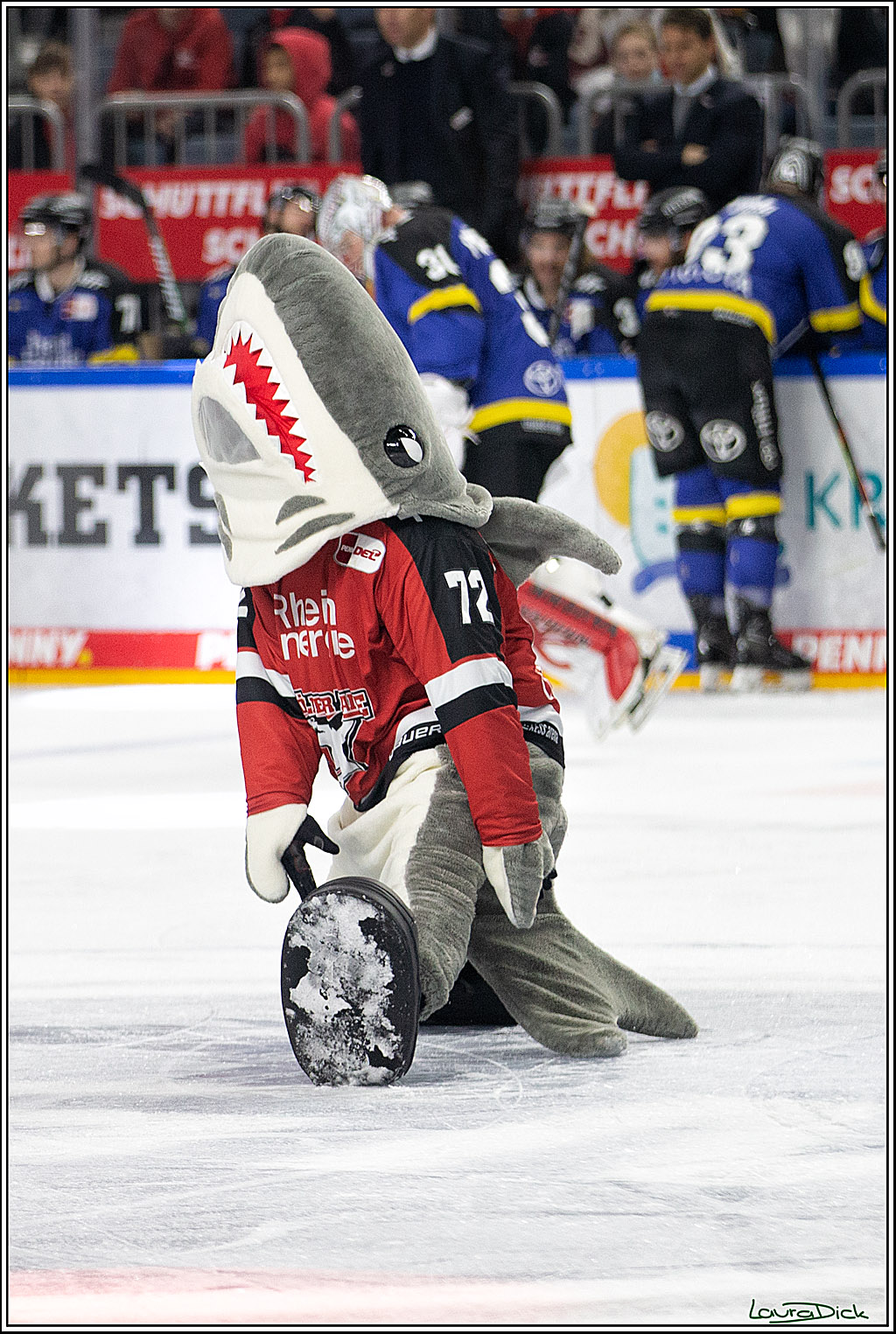 PENNY DEL; Koelner Haie- Fishtown Pinguins Bremerhaven; Koeln, 23.11.2021